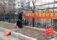 延春社區立足“三早”治理圈地種菜行為