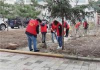 河南街道團工委吹響創城集結號：做創城主人，享城市文明