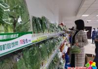 搭平臺 擴銷路 助力企業復工復產