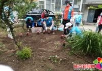 黨建引領添活力 種花添彩助創城