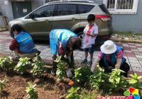 發揮黨員帶頭作用 創城路上別樣風采