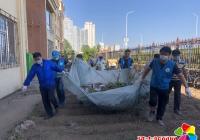 拔菜還綠  營造居住好環境