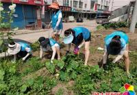 市公交集團聯手春光社區 清理花壇雜草 助力創建文明城
