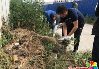 百余人齊上陣 轄區環境換新顏