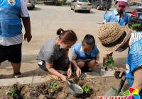 協力共創文明城市   小小志愿者在行動