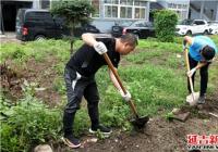 駐街單位市林管局進社區清理小區花壇助力創城精細化管理