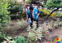 “白衣天使”為河南街道創城“添磚加瓦”