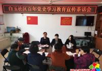 白玉社區開展百年黨史學習教育宣傳茶話會
