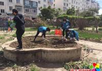 延青社區整治毀綠種菜 維護創城文明成果