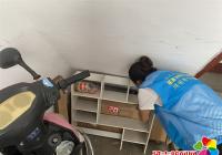 丹延社區開展“學黨史 悟思想 辦實事” 志愿服務活動