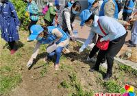丹嶺社區開展“播種小花種，建設大庭院”志愿服務活動